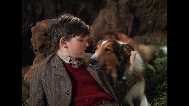 灵犬莱西 Lassie.Come.Home.1943.1080p.AMZN.WEBRip.DDP2.0.x264-SbR 7.78GB-6.png