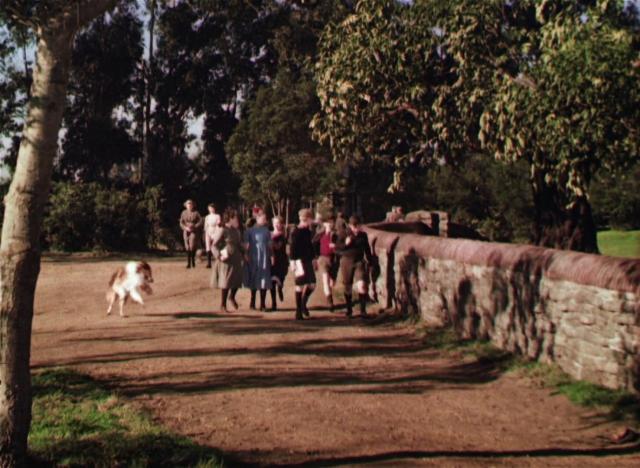 灵犬莱西 Lassie.Come.Home.1943.1080p.WEBRip.x264-RARBG 1.70GB-2.png