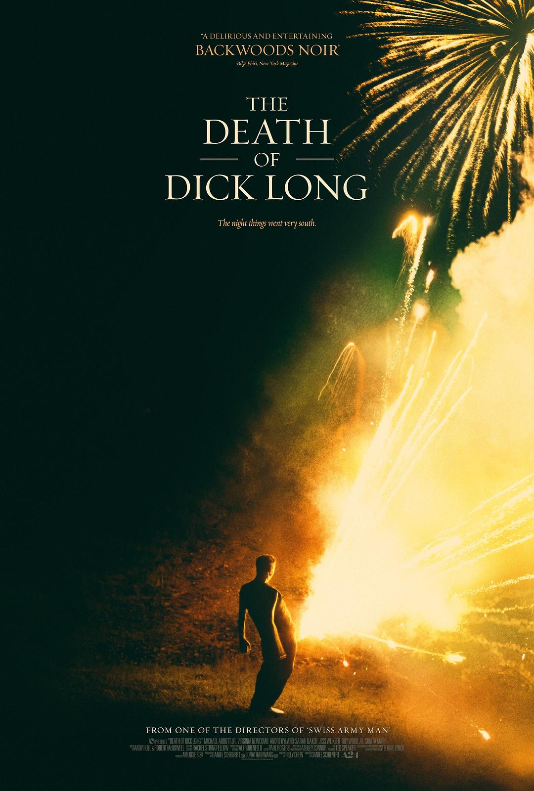迪克·朗之死/迪克朗之死 The.Death.Of.Dick.Long.2019.1080p.WEBRip.x264-RARBG 1.91GB-1.png