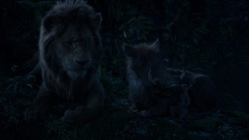 狮子王 The.Lion.King.2019.BluRay.1080p.x264.DTS-HD.MA.7.1-HDChina 17.4GB-10.jpg