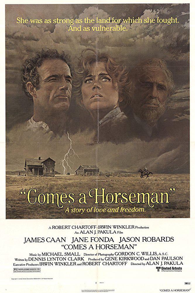 跃马山庄/来了一个骑马人 Comes.a.Horseman.1978.720p.BluRay.x264-SPOOKS 4.37GB-1.png