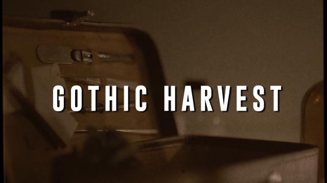哥特捕猎 Gothic.Harvest.2018.1080p.WEB-DL.DD5.1.H264-FGT 3.21GB-2.png