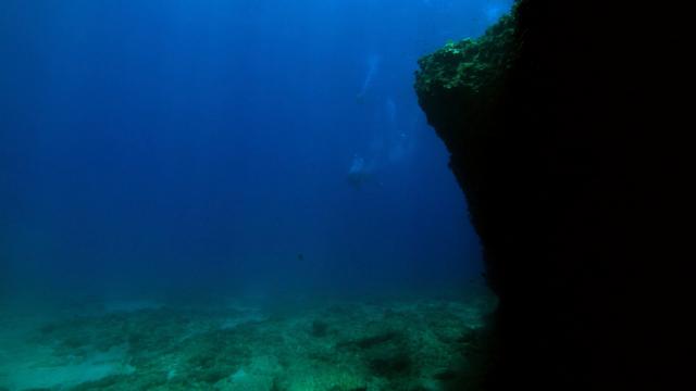 碧海追踪2:暗礁/碧海追踪2 Into.the.Blue.2.The.Reef.2009.1080p.AMZN.WEBRip.DDP2.0.x264-Web4HD 8.58GB-5.png