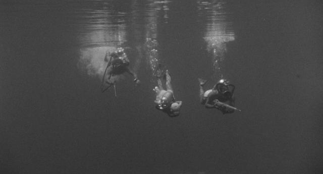 黑湖妖就在我们之间/怪物就在我们之间 The.Creature.Walks.Among.Us.1956.1080p.BluRay.x264.DTS-FGT 7.12GB-4.png