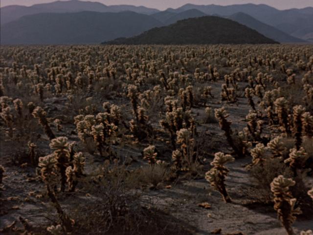 沙漠异景/活沙漠 The.Living.Desert.1953.1080p.AMZN.WEBRip.DDP2.0.x264-QOQ 4.98GB-3.png