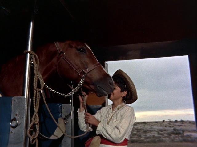 小逃犯 The.Littlest.Outlaw.1955.1080p.WEBRip.x264-RARBG 1.40GB-2.png