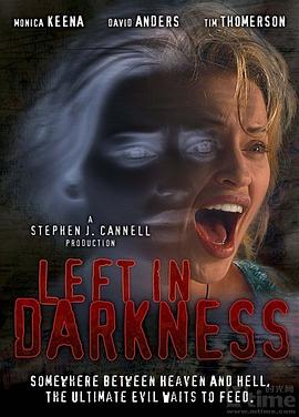 暗夜流亡/半边黑暗 Left.in.Darkness.2006.1080p.AMZN.WEBRip.DDP2.0.x264-NTG 8.41GB-1.png