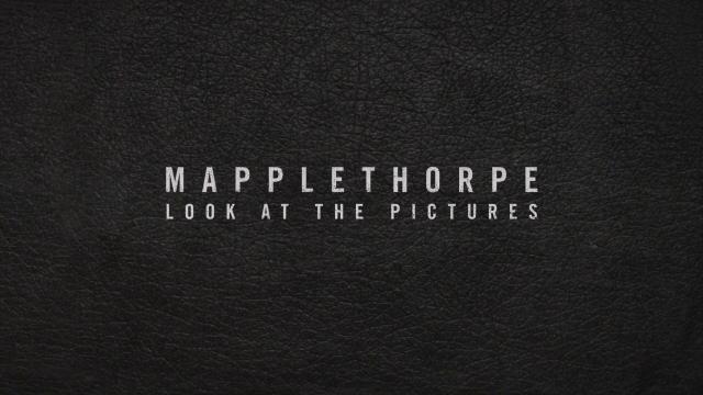 罗伯特·梅普勒索普:看看那些照片 Mapplethorpe.Look.at.the.Pictures.2016.1080p.WEBRip.x264-RARBG 2.07GB-4.png