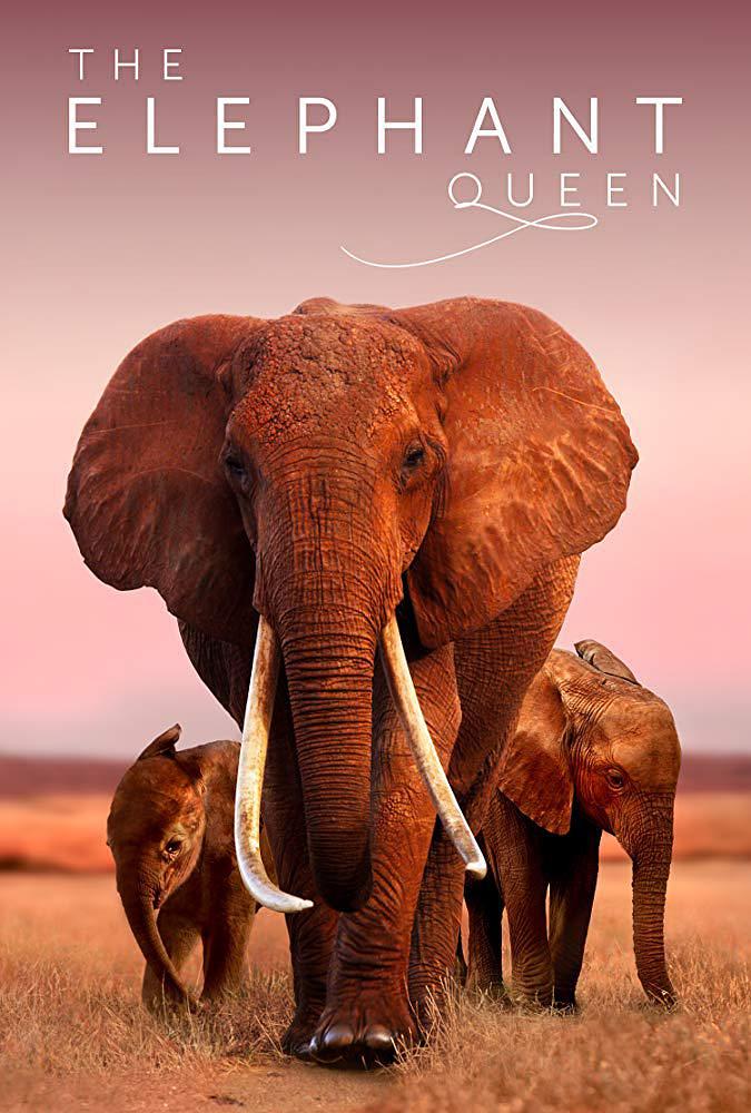大象女王 The.Elephant.Queen.2019.1080p.WEB-DL.DD5.1.H264-TARS 6.76GB-1.png