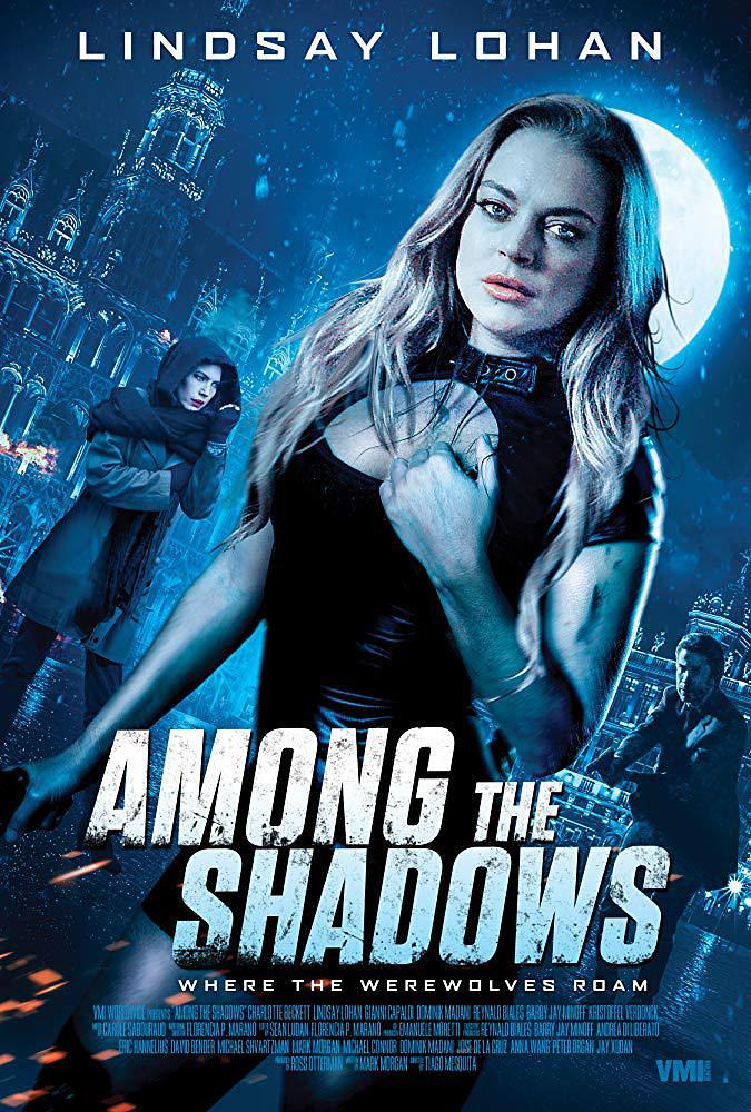 阴影当中 Among.The.Shadow.2019.1080p.BluRay.x264-NTROPiC 6.55GB-1.png