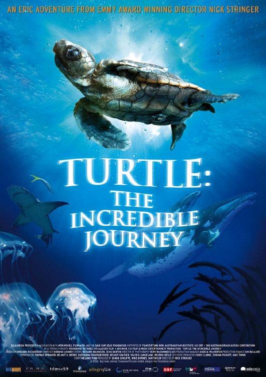 海龟奇妙之旅/在海里翱翔 Turtle.The.Incredible.Journey.2009.1080p.BluRay.x264.DTS-HDC 6.56GB-1.png