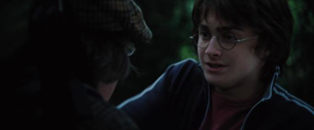 哈利·波特与火焰杯/哈4 Harry.Potter.and.the.Goblet.of.Fire.2005.1080p.BluRay.x264.DTS-X.7.1-SWTYBLZ 14.28GB-2.png