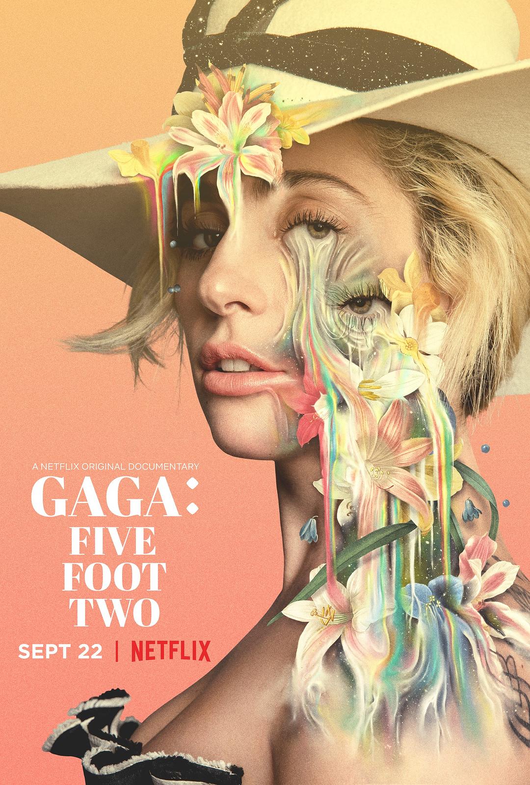 嘎嘎:五尺二寸 Gaga.Five.Foot.Two.2017.1080p.WEBRip.x264-RARBG 1.92GB-1.png