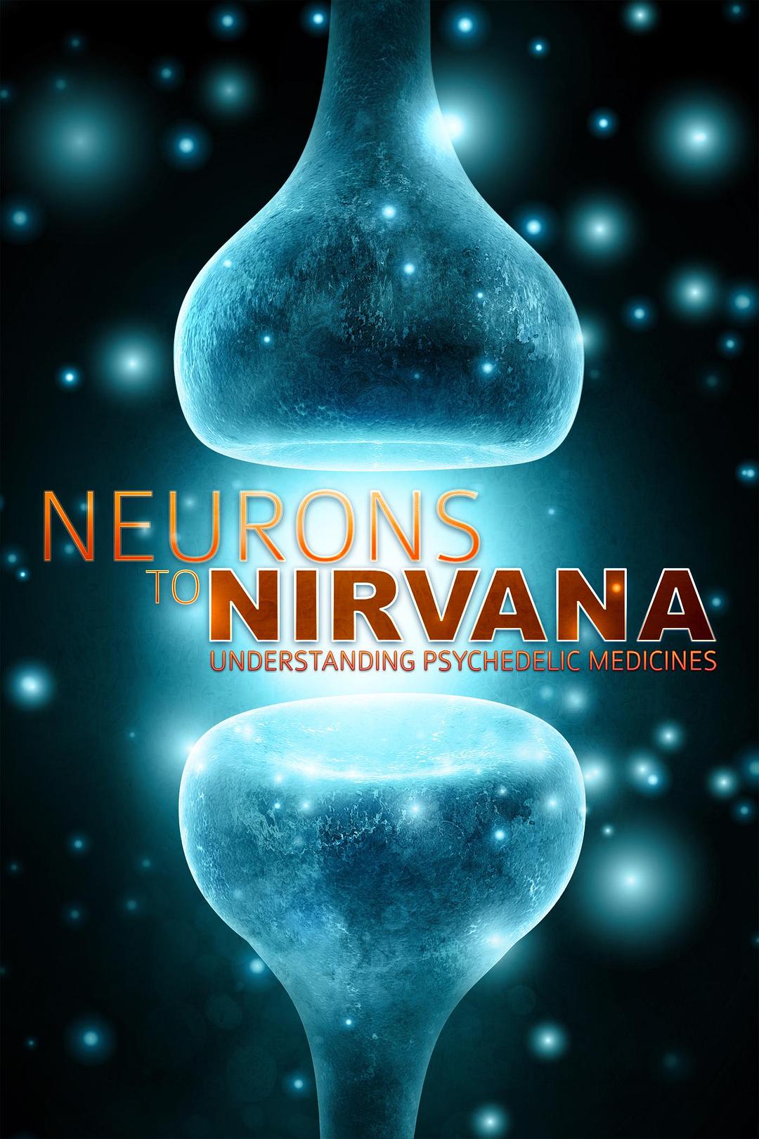 从神经元到仙人天下:巨大的药物 Neurons.to.Nirvana.Understanding.Psychedelic.Medicines.2013.1080p.WEBRip.x264-RARBG 1.32GB-1.png