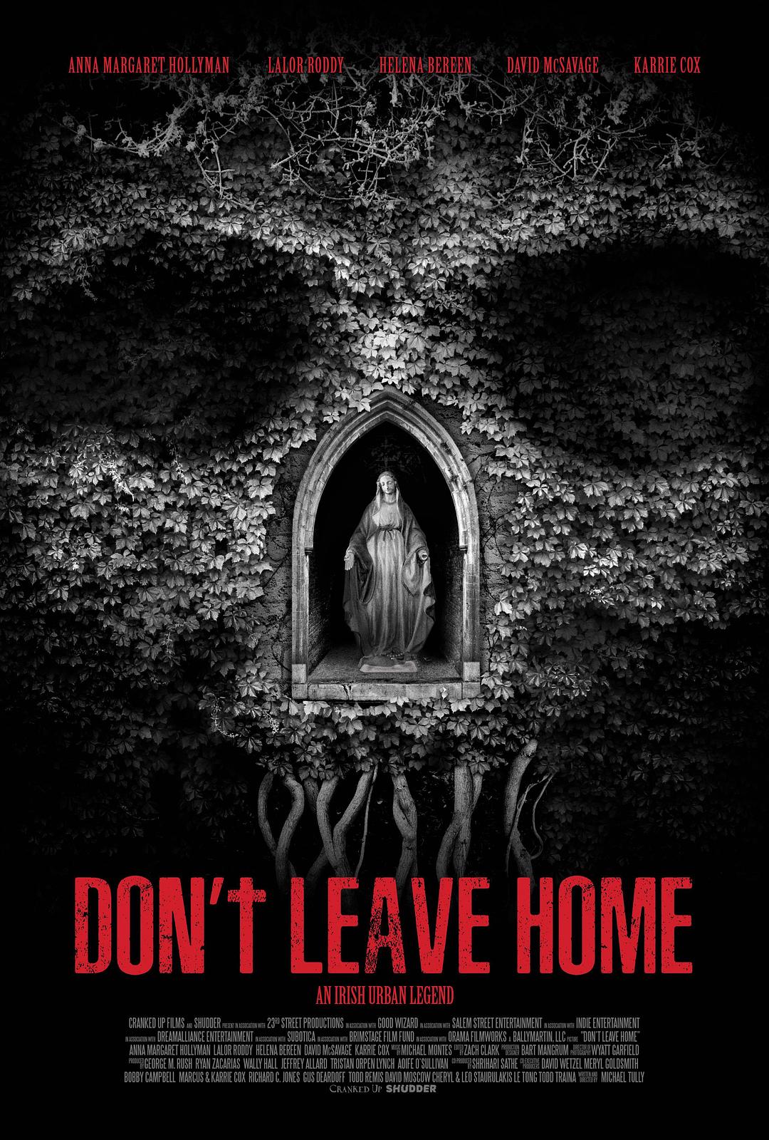 切勿离家/万万别出门 Dont.Leave.Home.2018.1080p.WEBRip.x264-RARBG 1.64GB-1.png