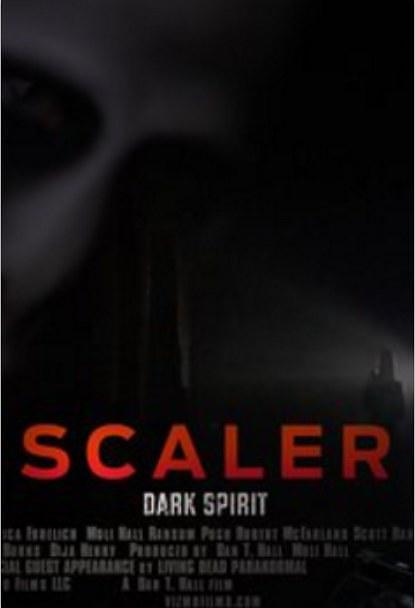 斯科勒黑暗的灵魂 Scaler.Dark.Spirit.2016.1080p.WEB-DL.AAC2.0.H264-FGT 2.75GB-1.png