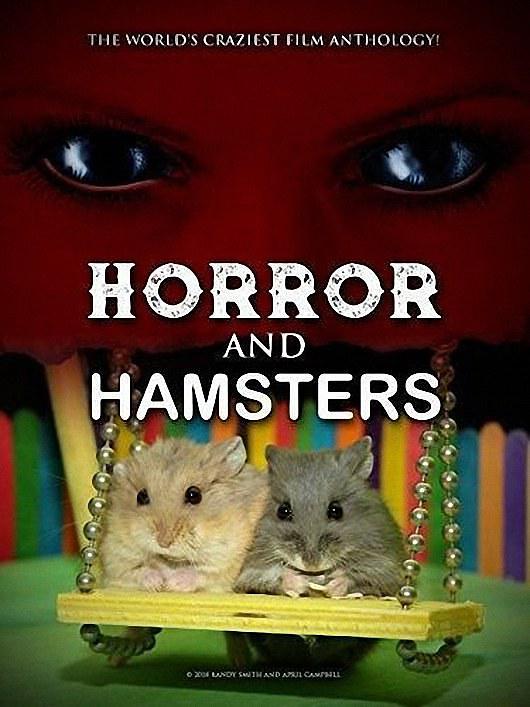 可骇的仓鼠 Horror.and.Hamsters.2018.1080p.WEBRip.x264-RARBG 1.58GB-1.png