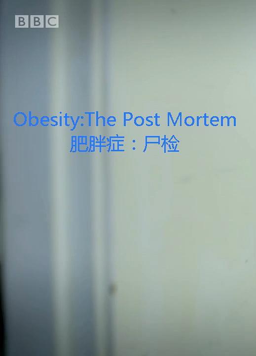 剖解瘦削/瘦削症:尸检 Obesity.The.Post.Mortem.2016.1080p.NF.WEBRip.DDP2.0.x264-TrollHD 2.00GB-1.png