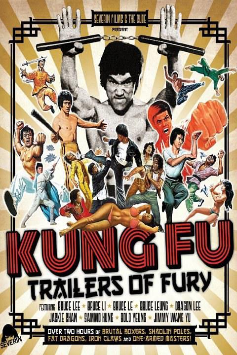 狂怒:功夫预告片 Kung.Fu.Trailers.Of.Fury.2016.CHINESE.ENSUBBED.1080p.BluRay.x264.DTS-FGT 11.10GB-1.png