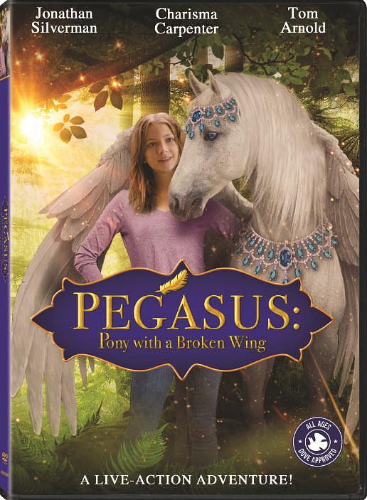 同党折断的小马 Pegasus.Pony.with.a.Broken.Wing.2019.1080p.WEBRip.x264-RARBG 1.65GB-1.png