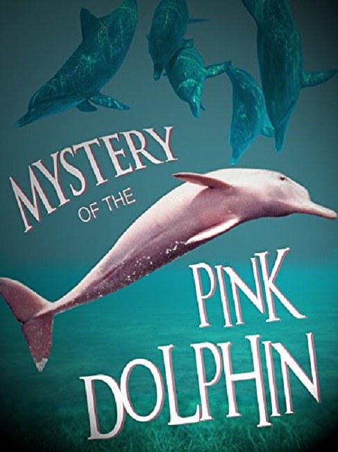 粉色海豚之谜 Mystery.of.the.Pink.Dolphin.2015.1080p.WEBRip.x264-RARBG 1.01GB-1.png