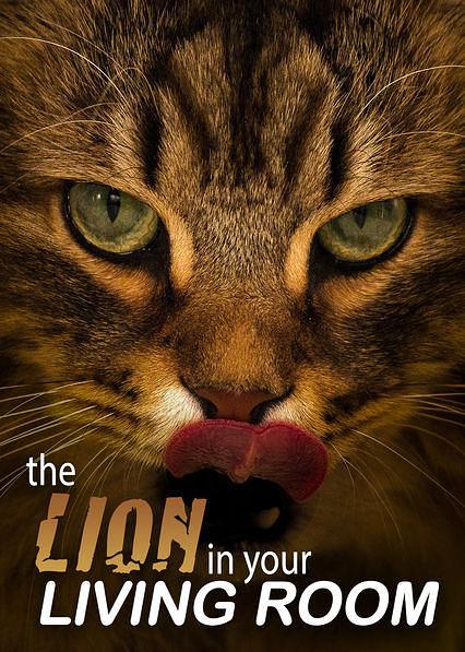 家里的狮子 The.Lion.In.Your.Living.Room.2015.1080p.AMZN.WEBRip.DDP2.0.x264-monkee 3.62GB-1.png