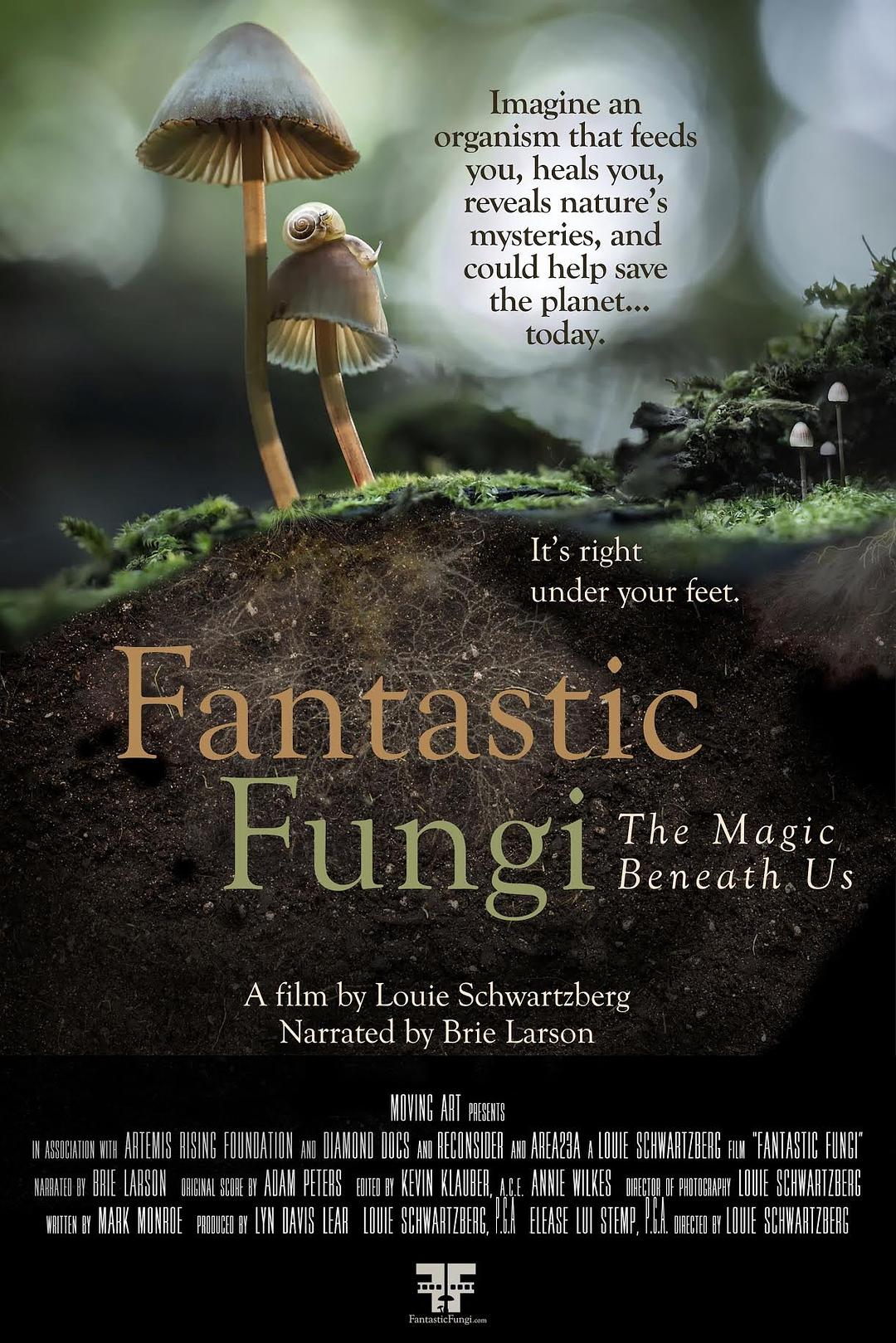 奇异的真菌 Fantastic.Fungi.2019.1080p.WEBRip.x264-RARBG 1.53GB-1.png