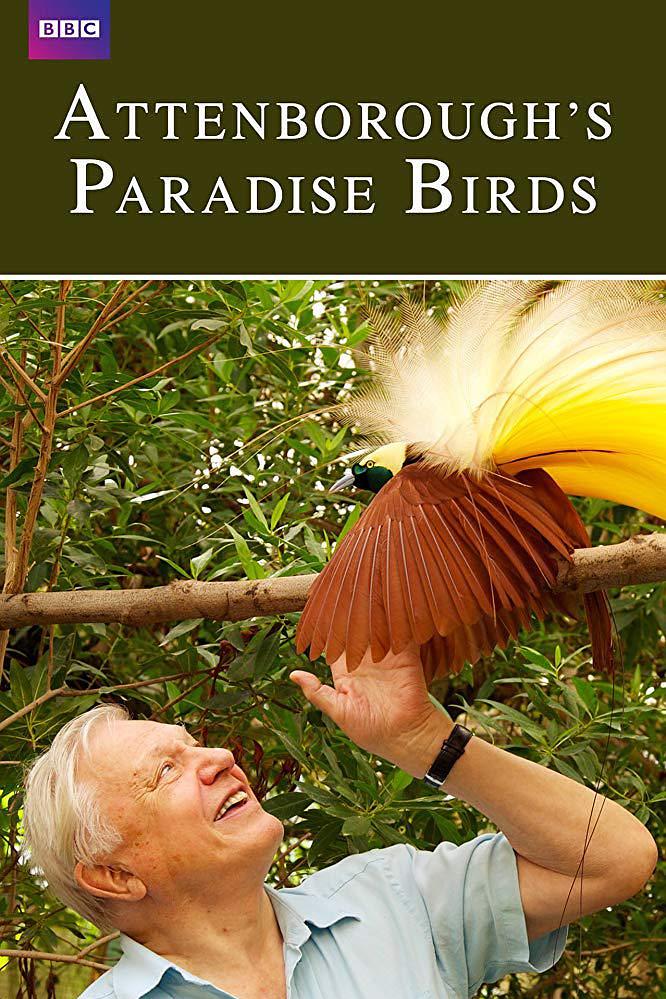 爱登堡的极乐鸟天下 Attenboroughs.Paradise.Birds.2015.1080p.WEBRip.x264-RARBG 1.12GB-1.png