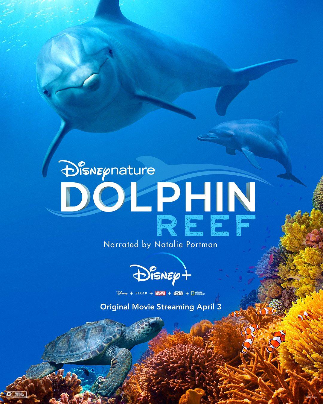 海豚礁 Dolphin.Reef.2020.1080p.WEBRip.x264-RARBG 1.46GB-1.png