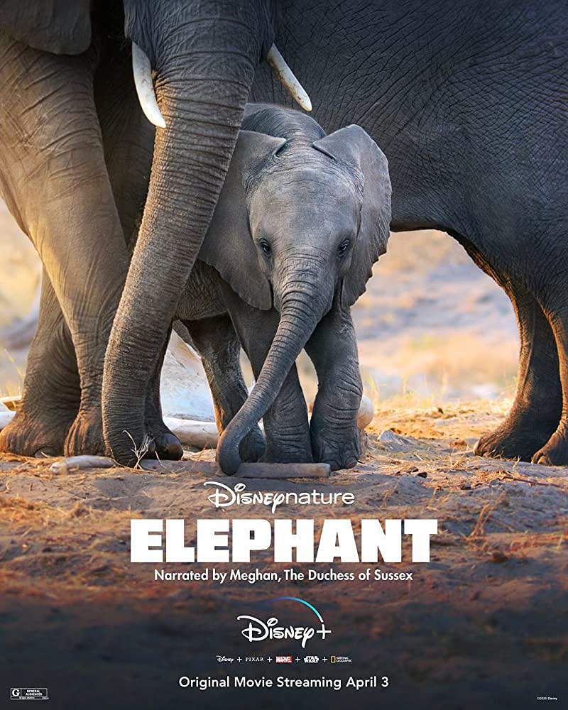 大象 Elephant.2020.1080p.WEBRip.x264-RARBG 1.63GB-1.png