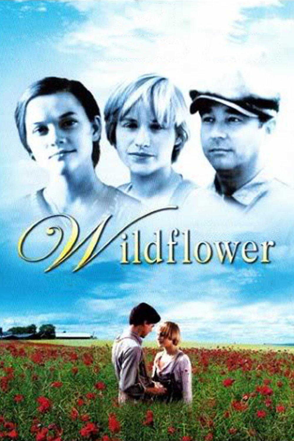 世外桃源历险记 Wildflower.1991.1080p.WEBRip.x264-RARBG 1.81GB-1.png