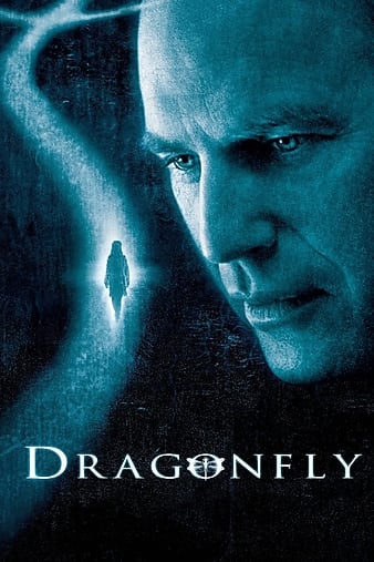 蜻蜓/鬼胎记 Dragonfly.2002.1080p.BluRay.x264.DTS-FGT 9.48GB-1.png