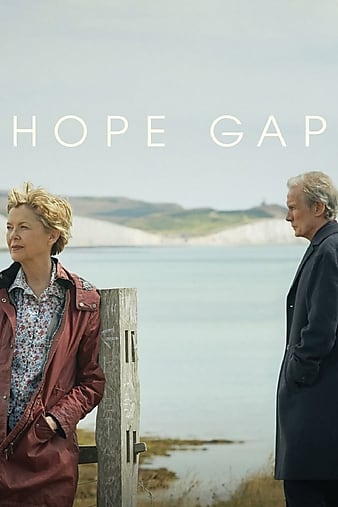 希望沟壑/希望的缺口 Hope.Gap.2019.1080p.BluRay.AVC.DTS-HD.MA.5.1-RELiGiOUS 23.29GB-1.png