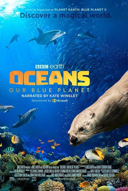 陆地:我们的蓝色星球 Oceans.Our.Blue.Planet.2018.DOCU.2160p.BluRay.HEVC.DTS-HD.MA.5.1-VinO 23.80GB-1.jpg