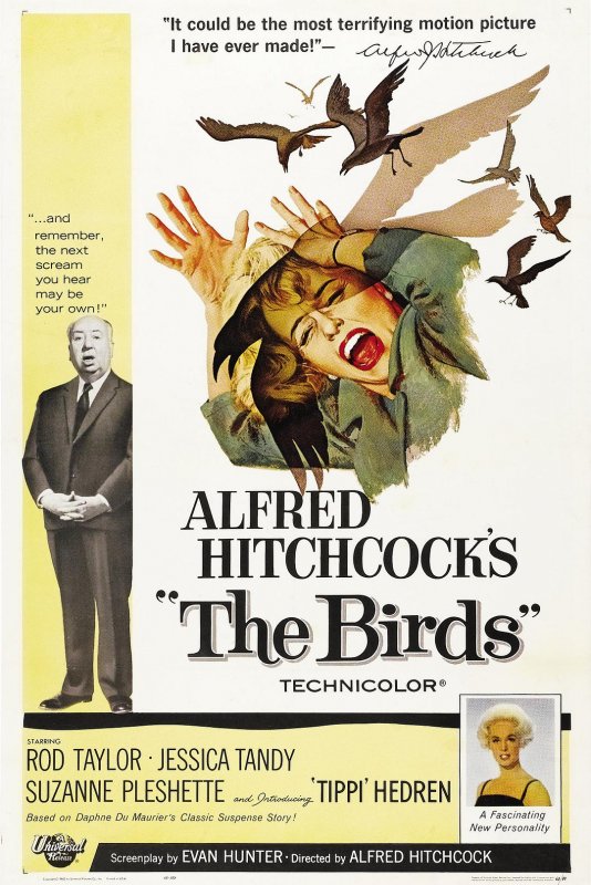 群鸟/鸟 The.Birds.1963.2160p.BluRay.x265.10bit.SDR.DTS-HD.MA.2.0-SWTYBLZ 48.60GB-1.jpg