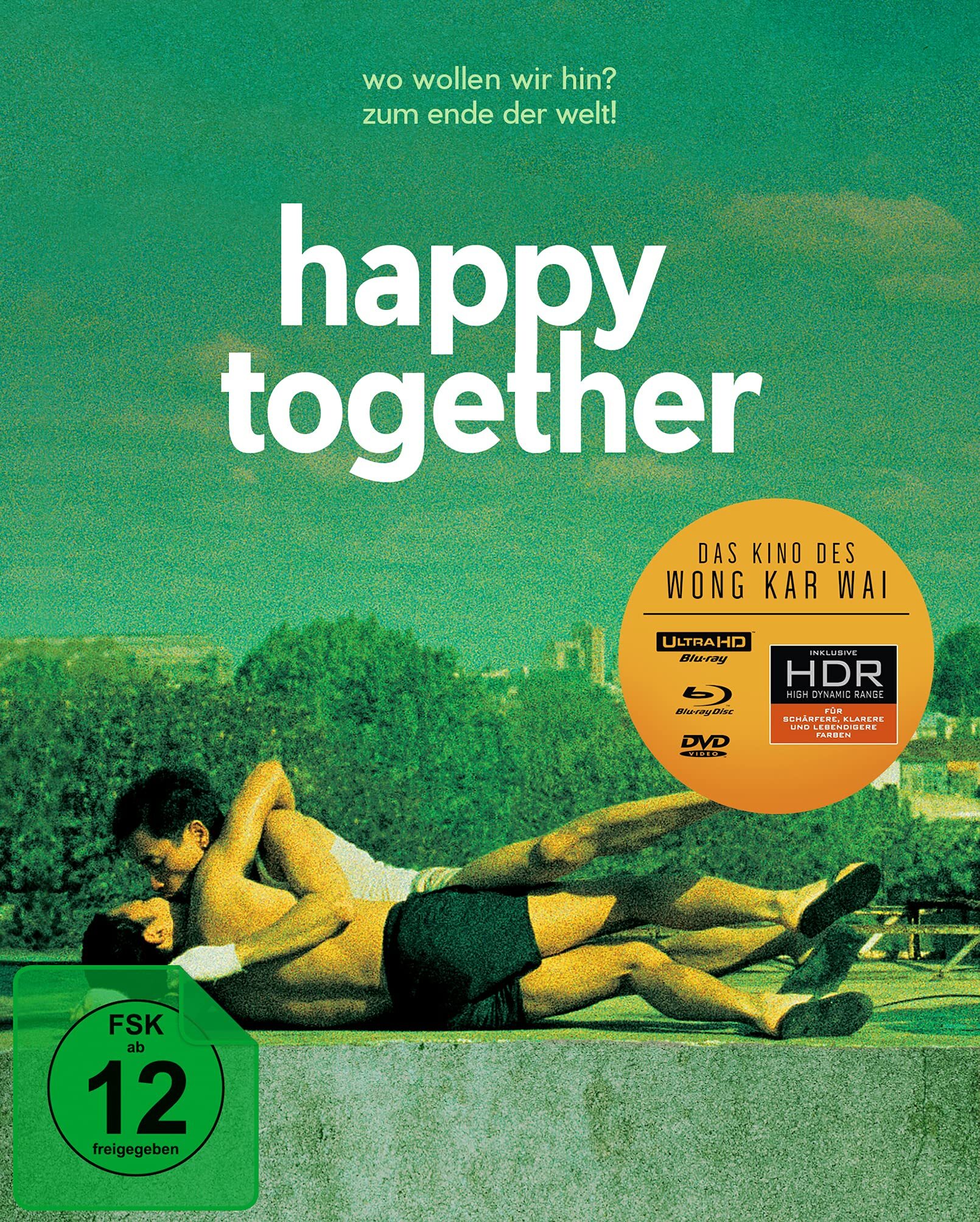 春景乍泄 [UHD原盘 DIY 粤语/中笔墨幕].Happy.Together.1997.UHD.Blu-ray.2160p.HEVC.DTS-HD.MA.5.1-TAG 58.39GB-1.jpg